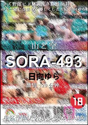 SORA-493Ѹ