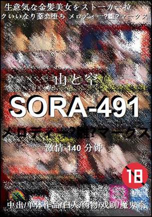 SORA-491Ѹ