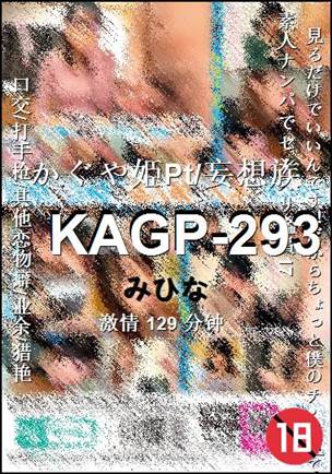 KAGP-293Ѹ