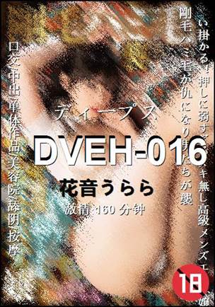DVEH-016Ѹ