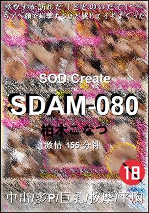 SDAM-080Ѹ
