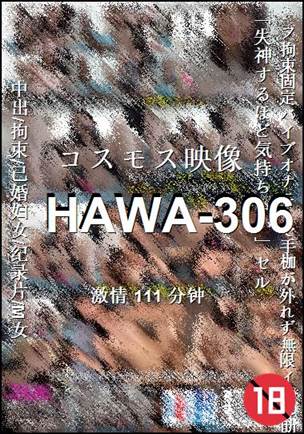 HAWA-306Ѹ