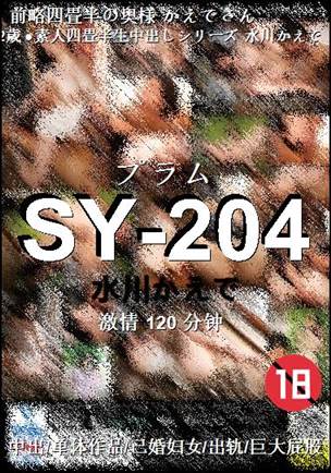 SY-204Ѹ