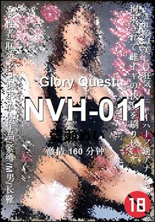NVH-011Ѹ