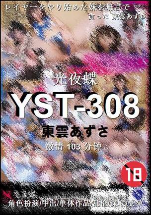 YST-308Ѹ