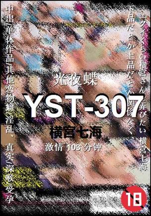 YST-307Ѹ