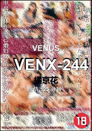 VENX-244BT