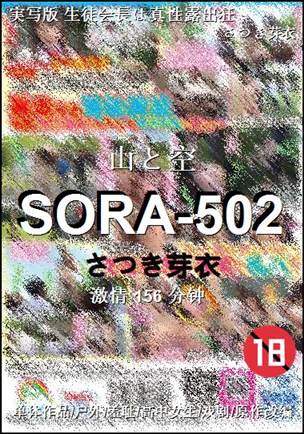 SORA-502Ѹ