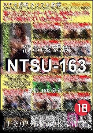NTSU-163Ѹ