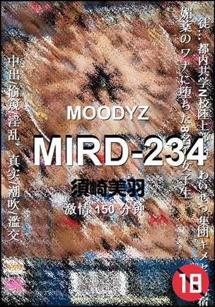 MIRD-234BT