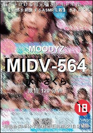 MIDV-564Ѹ