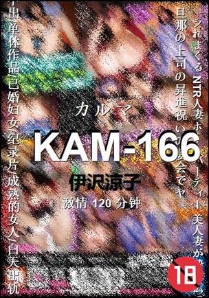 KAM-166BT