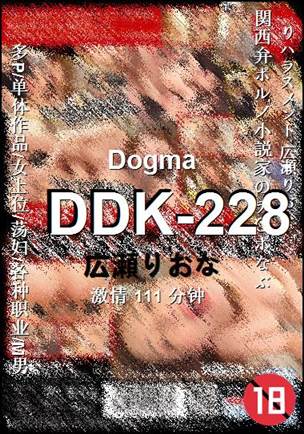 DDK-228BT
