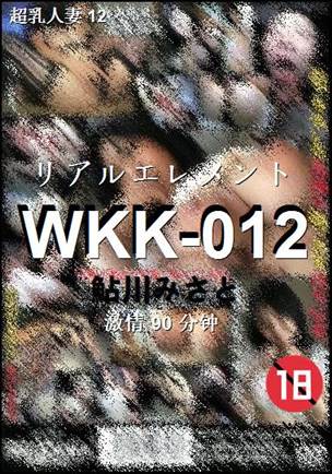 WKK-012Ѹ