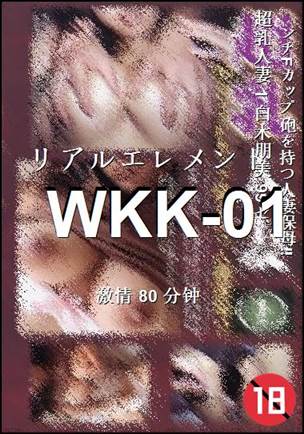 WKK-01Ѹ