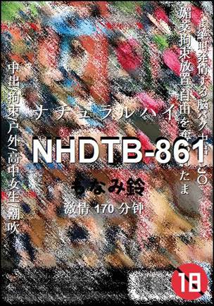 NHDTB-861BT