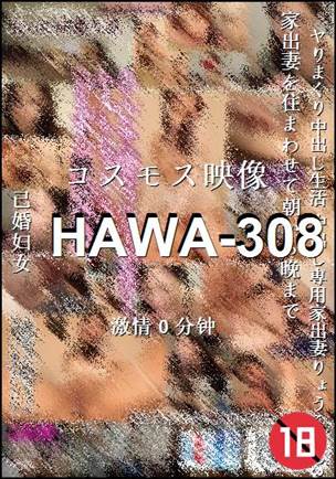 HAWA-308Ѹ
