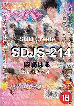SDJS-214BT����