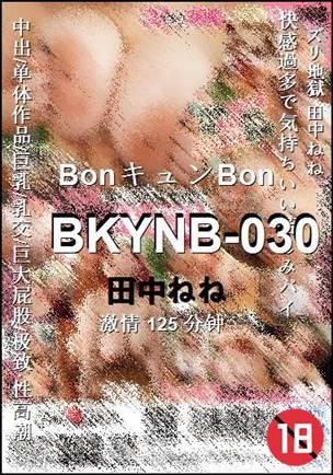 BKYNB-030Ѹ