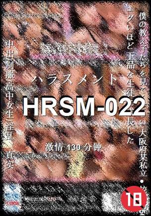 HRSM-022Ѹ
