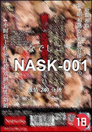 NASK-001Ѹ