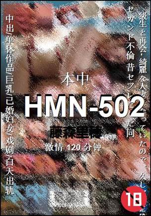 HMN-502Ѹ