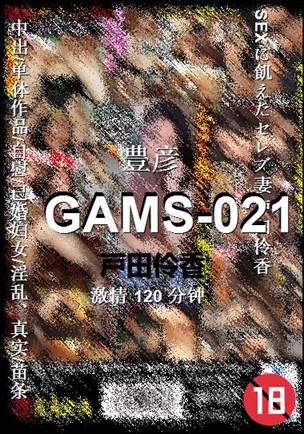 GAMS-021BT