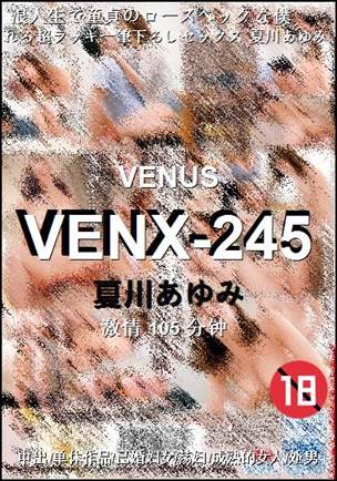 VENX-245Ѹ