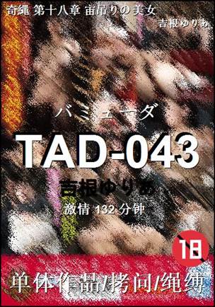 TAD-043BT