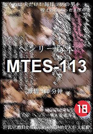 MTES-113BT