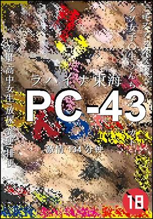 PC-43Ѹ