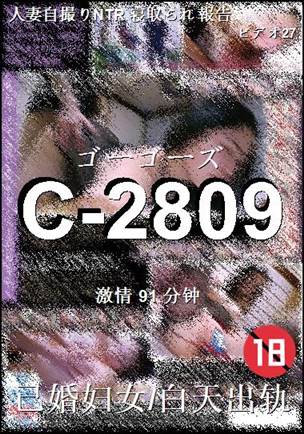 C-2809Ѹ