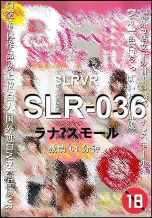 SLR-036Ѹ