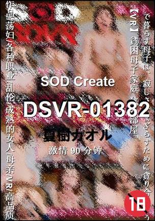 DSVR-01382BT