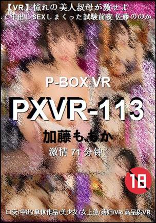 PXVR-113BT