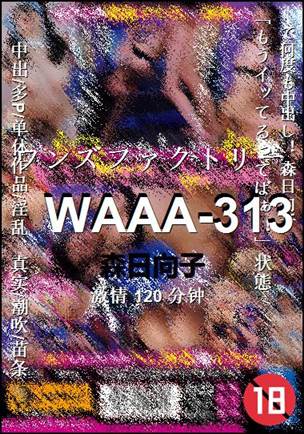 WAAA-313Ѹ