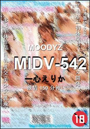 MIDV-542Ѹ