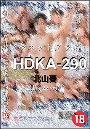 HDKA-290Ѹ