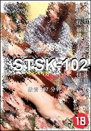 STSK-102BT