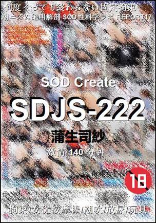 SDJS-222Ѹ