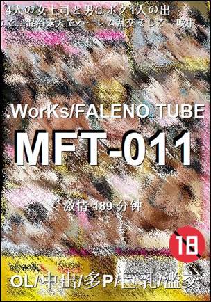 MFT-011Ѹ
