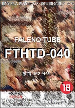 FTHTD-040BT