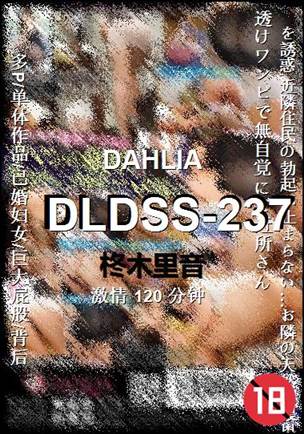 DLDSS-237Ѹ