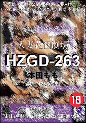 HZGD-263Ѹ