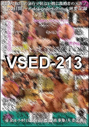VSED-213BT