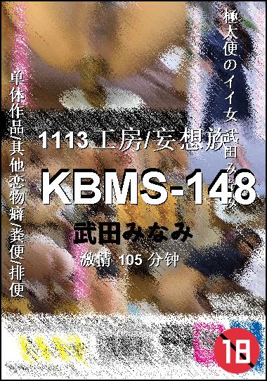 KBMS-148BT