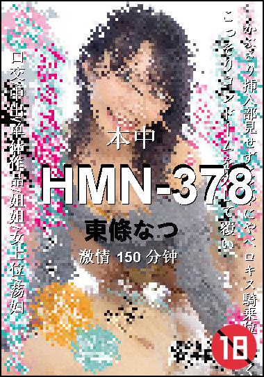 HMN-378Ѹ