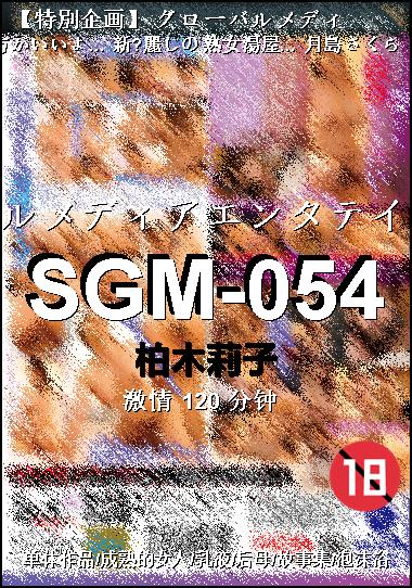 SGM-054Ѹ