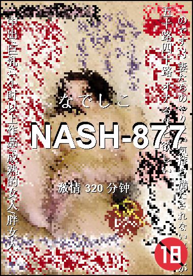 NASH-877Ѹ