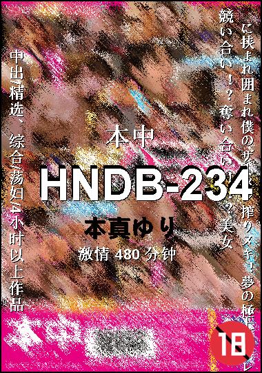 HNDB-234Ѹ
